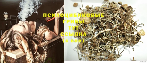 герыч Няндома